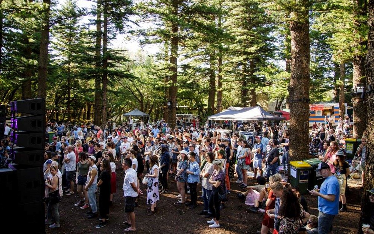 Image of people congregating, watching live music surrounded by Norfolk Island Pines. 