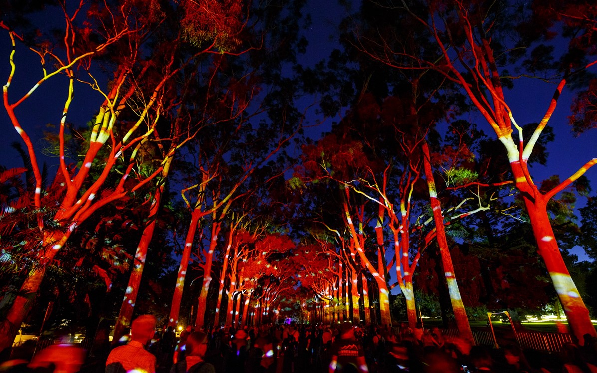 Image of Boorna production - lights on trees