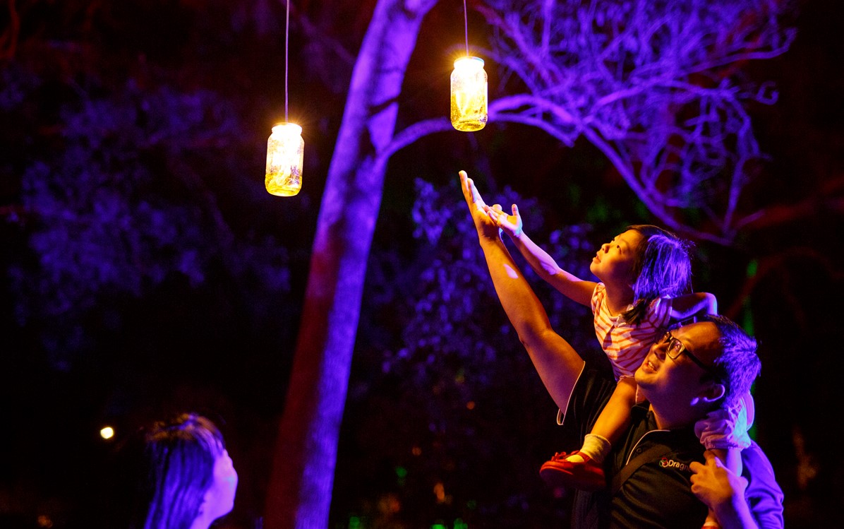 Image of father and daughter reaching out to lights at the Boorna production 