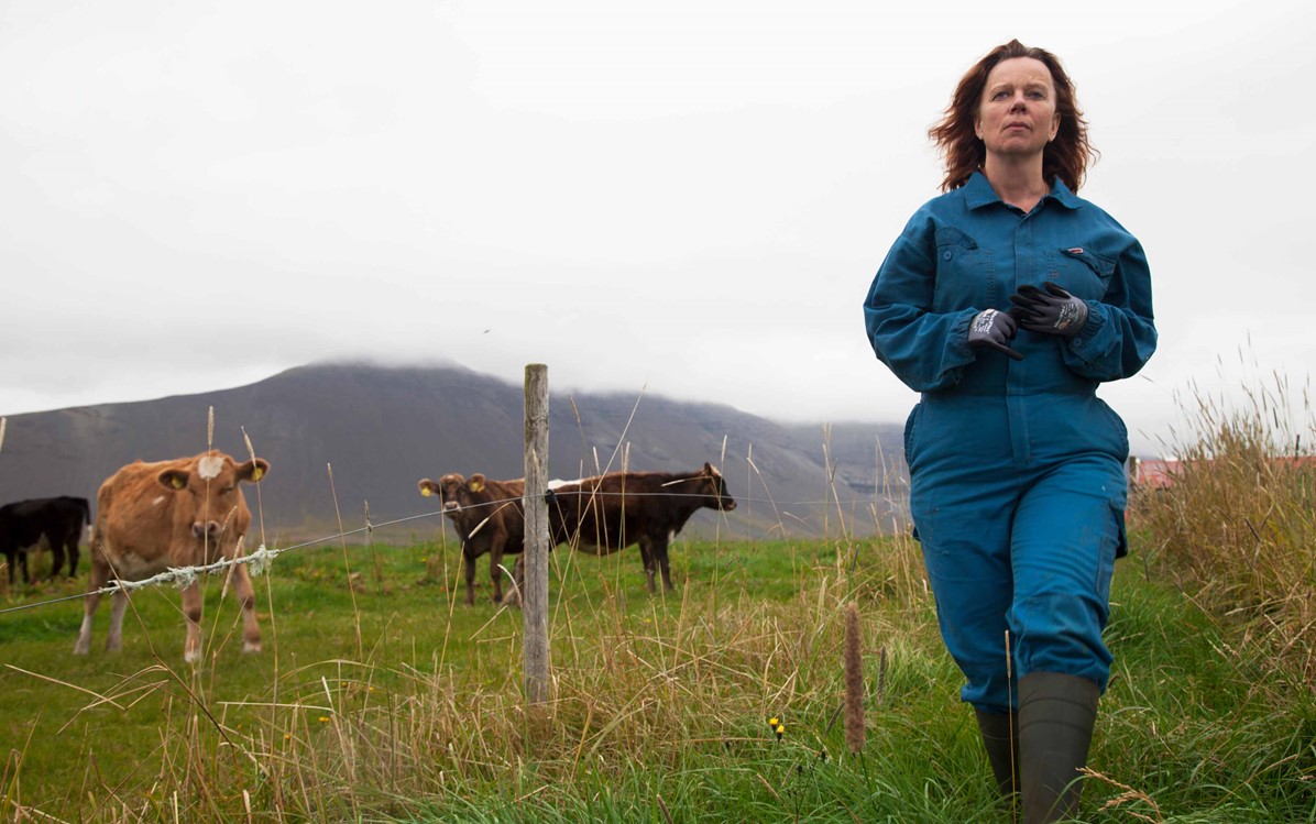 A woman in a blue utility jumpsuit and boots walks away from a paddock containing cows. From film "The County".